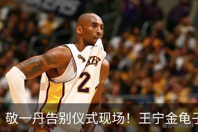 敬一丹告别仪式现场！王宁金龟子现身送别，多位主持人忍不住哭泣
